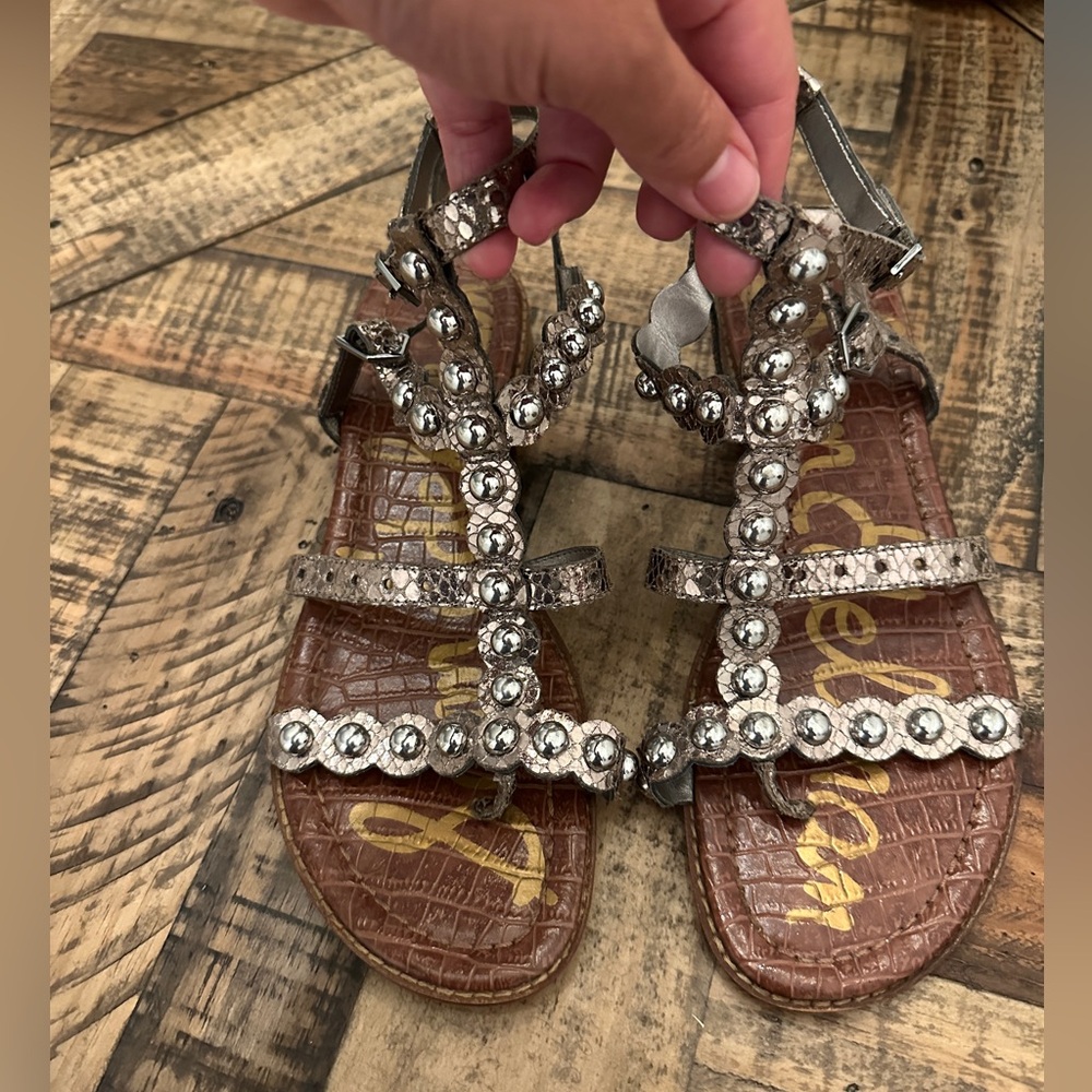 Sam Edelman Silver and Brown Sandals
